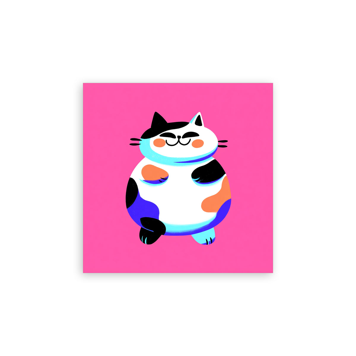 Chubby Cat 5